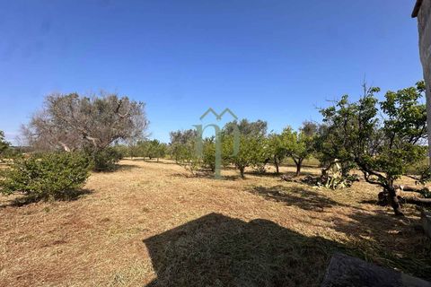 Ruin i Brindisi, Brindisi, Brindisi - € 34 000 | Ref: Lamia Melograno - foto 8